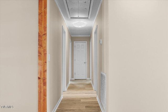 146 Circleview Drive, Johnson City, TN 37615