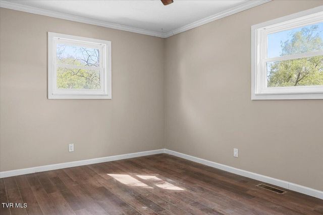 146 Circleview Drive, Johnson City, TN 37615