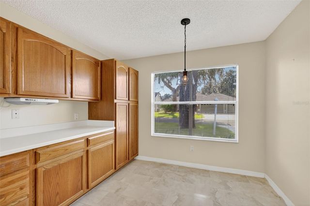 604 JUANITA COURT, The Villages, FL 32159