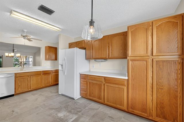 604 JUANITA COURT, The Villages, FL 32159