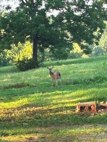 1174 Stacy Hill Road, Marion, NC 28752