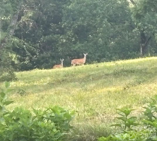 1174 Stacy Hill Road, Marion, NC 28752