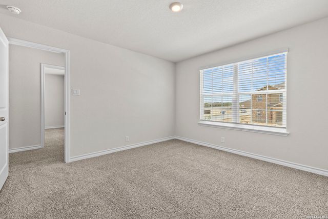 110 Tawny Owl, San Antonio, TX 78253