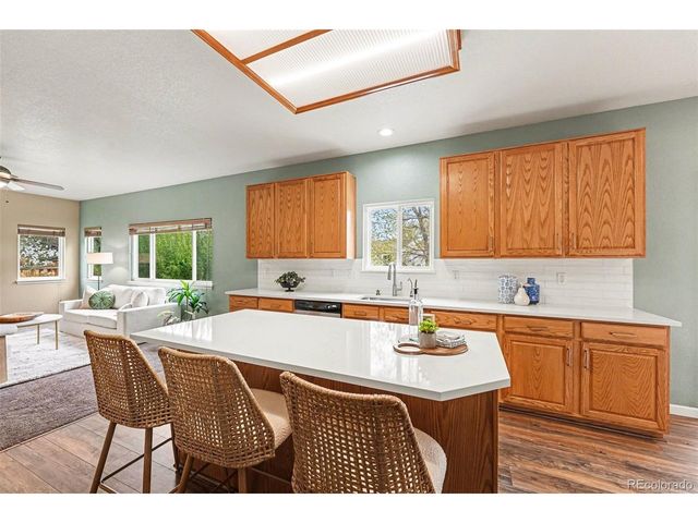 21805 Mount Elbert Pl, Parker, CO 80138