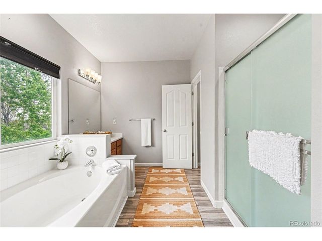 21805 Mount Elbert Pl, Parker, CO 80138