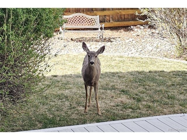 21805 Mount Elbert Pl, Parker, CO 80138