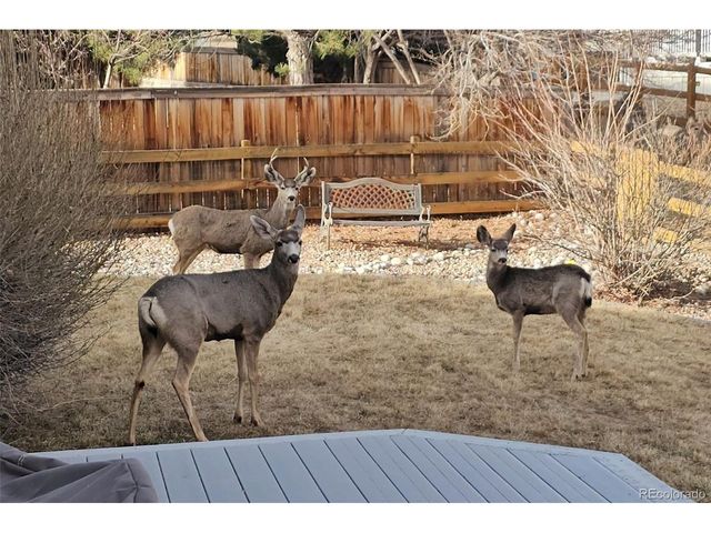 21805 Mount Elbert Pl, Parker, CO 80138