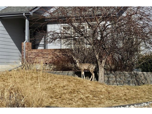 21805 Mount Elbert Pl, Parker, CO 80138