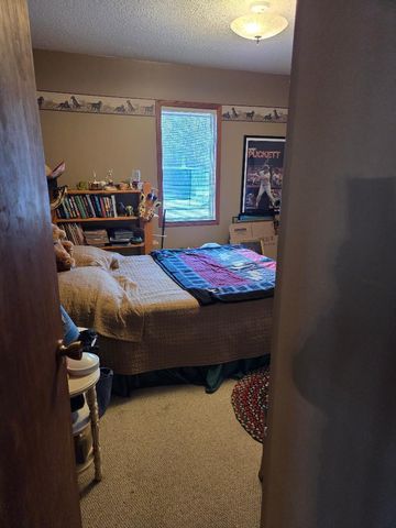 8229 Rushseba Trail, Rush City, MN 55069