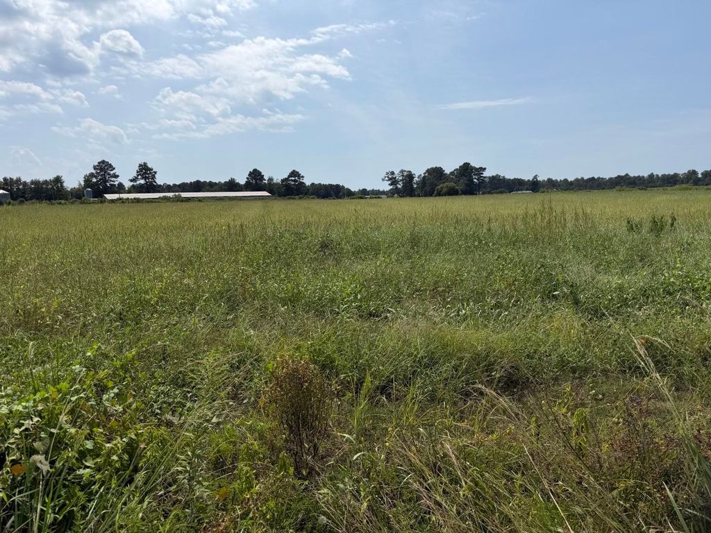 TBD B and S Rd., Loris, SC 29569 — photo 2