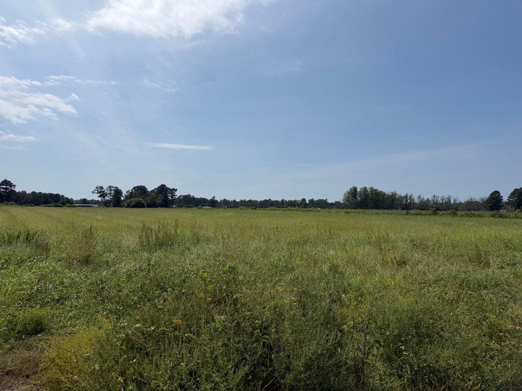 TBD B and S Rd., Loris, SC 29569 — photo 4