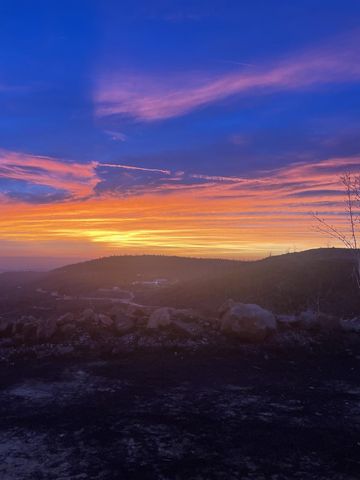 36060 Cressman Road, Shaver Lake, CA 93664