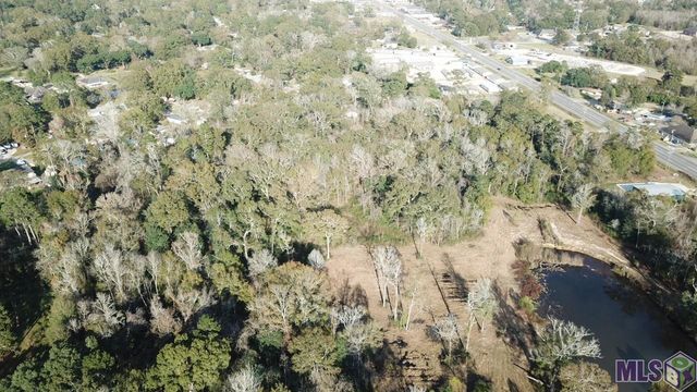 18.97 acres River Rd, Denham Springs, LA 70726