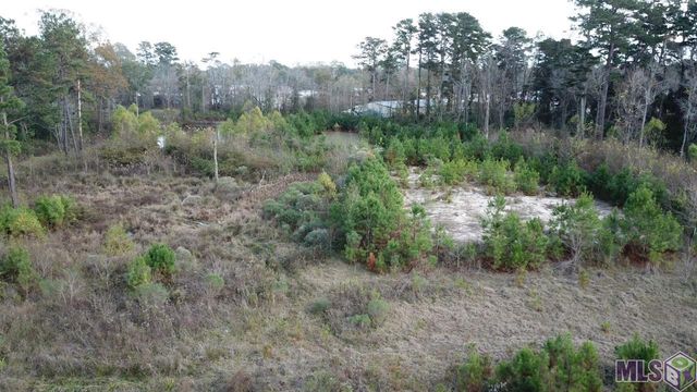 18.97 acres River Rd, Denham Springs, LA 70726