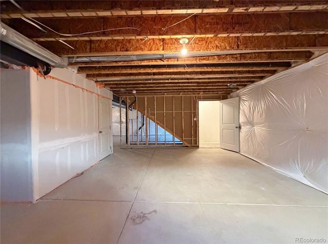 948 Scotch Pine Drive, Windsor, CO 80550