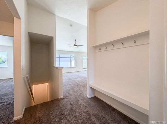 948 Scotch Pine Drive, Windsor, CO 80550