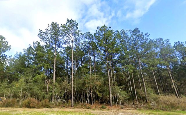 15588 Intrepid Lane, Willis, TX 77378