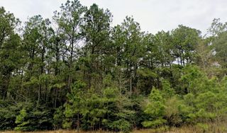 15588 Intrepid Lane, Willis, TX 77378