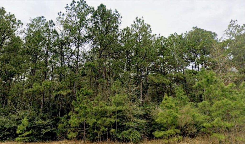 15588 Intrepid Lane, Willis, TX 77378