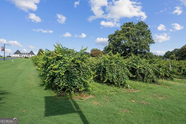 2327 Crimson King Drive, Braselton, GA 30517