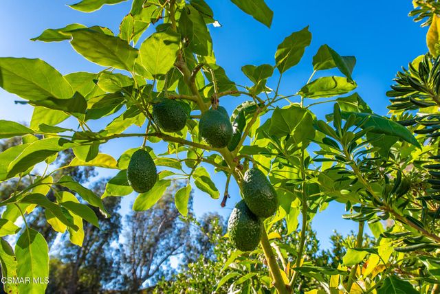 952 Carefree Drive, Simi Valley, CA 93065