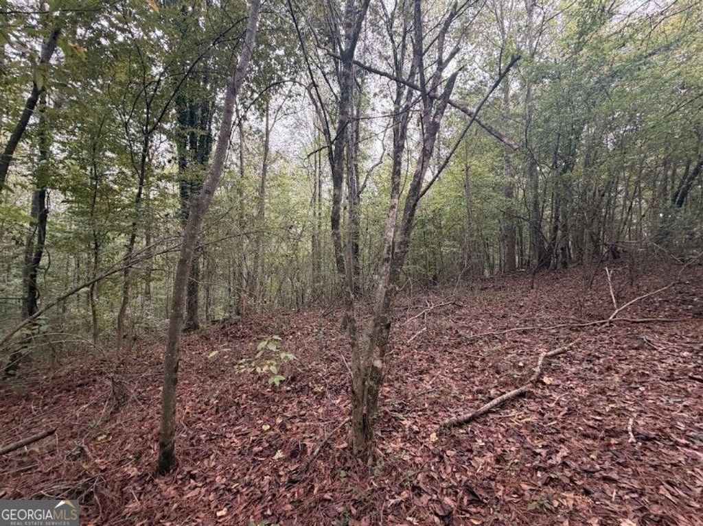 0 Lebanon Church Road TRACT 3, Jefferson, GA 30549 — photo 3