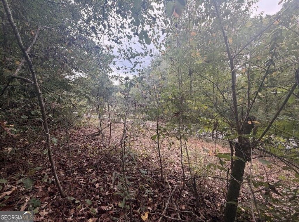 0 Lebanon Church Road TRACT 3, Jefferson, GA 30549 — photo 4