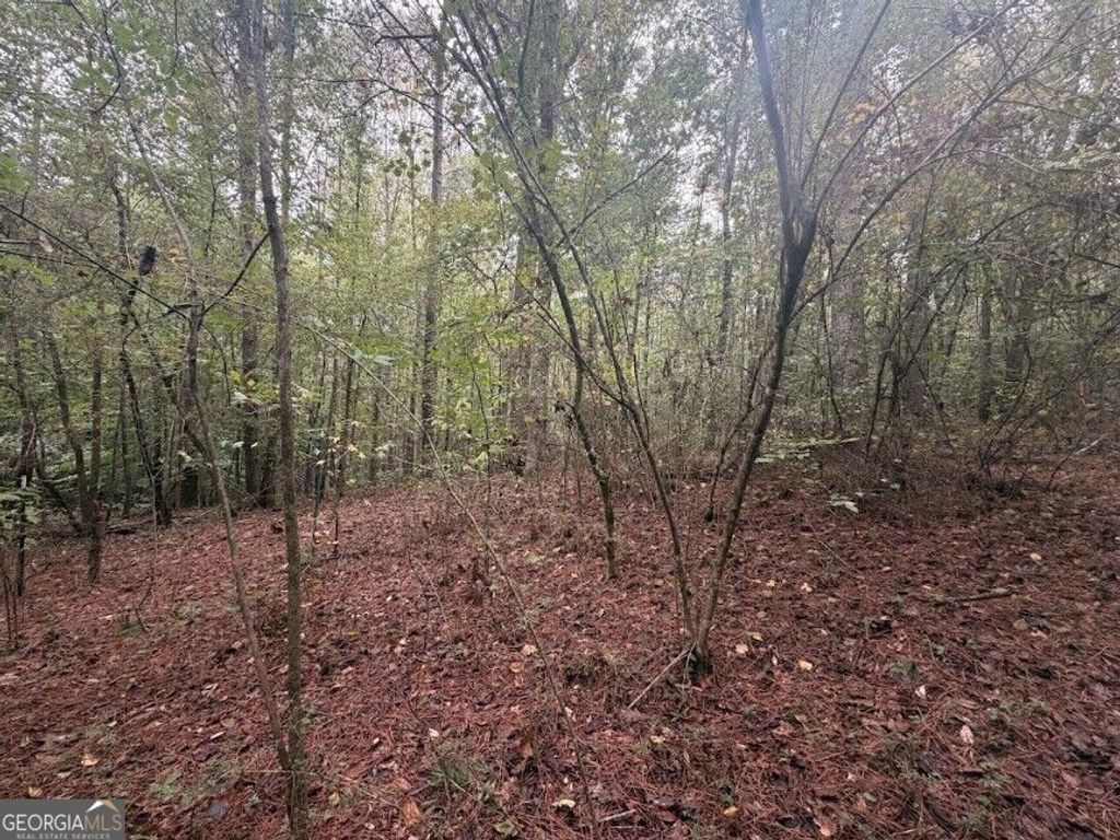 0 Lebanon Church Road TRACT 3, Jefferson, GA 30549 — photo 5