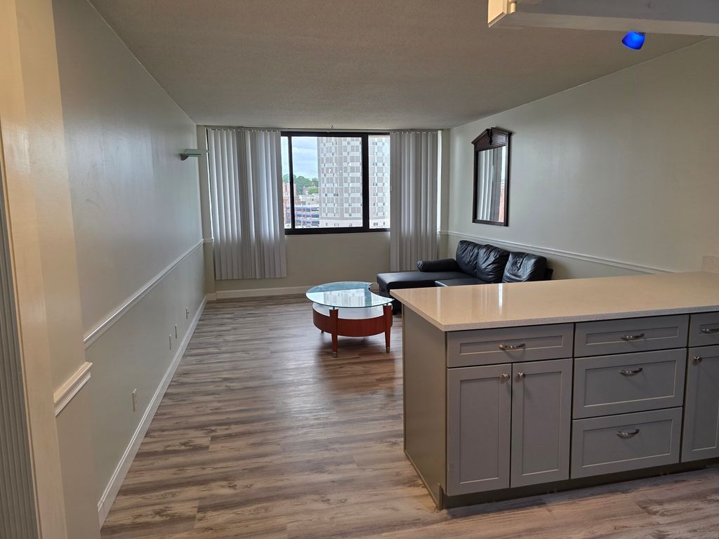 70 Southbridge St 811, Worcester, MA 01608