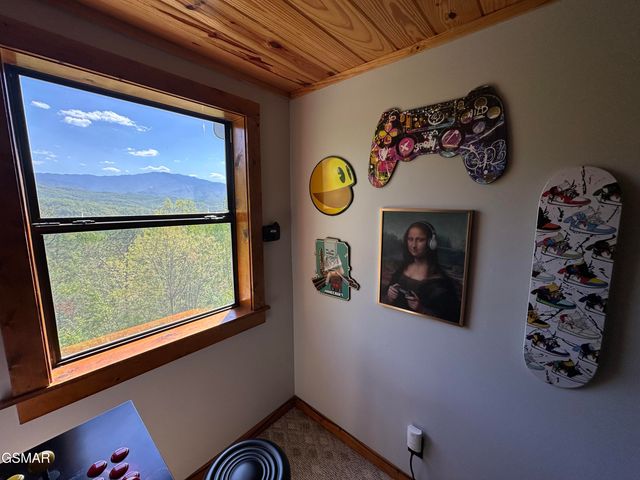 859 Pinnacle Vista Road, Gatlinburg, TN 37738