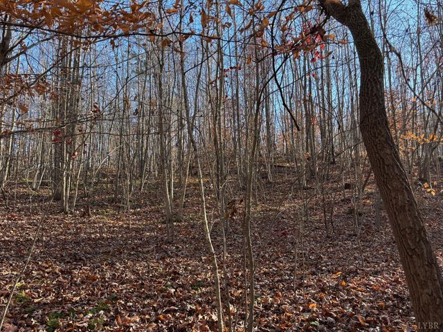 0 Oakville Road, Gladstone, VA 24553