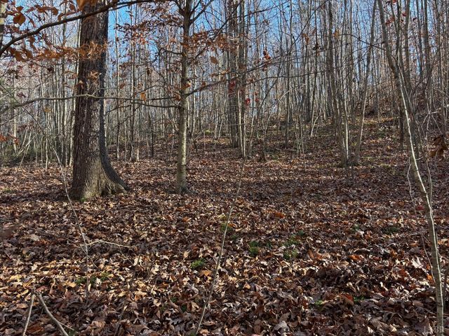 0 Oakville Road, Gladstone, VA 24553