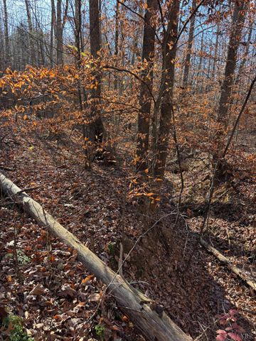 0 Oakville Road, Gladstone, VA 24553