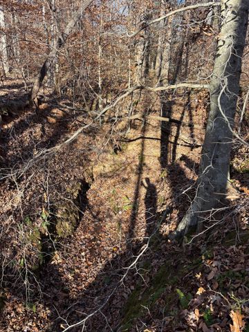 0 Oakville Road, Gladstone, VA 24553