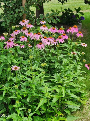 403 Accolade Drive, Cary, NC 27513