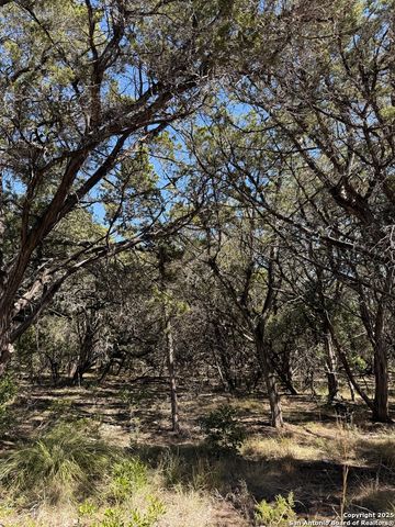 AVALON F Lots 1-6, Lakehills, TX 78063