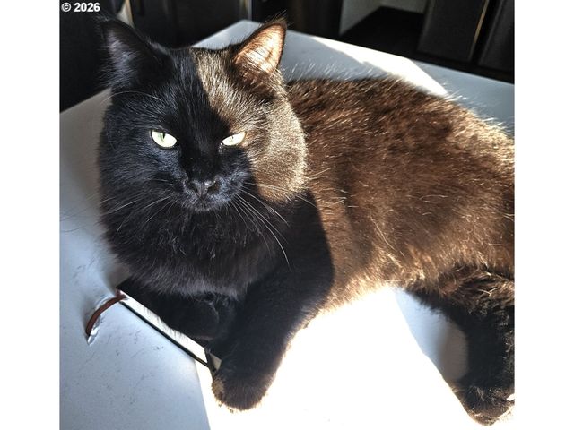 153 Se JAMES St, Camas, WA 98607