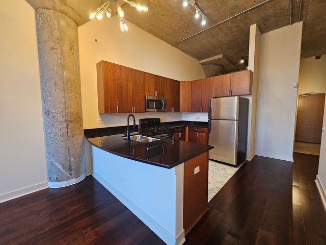 320 E 21st Street 404, Chicago, IL 60616