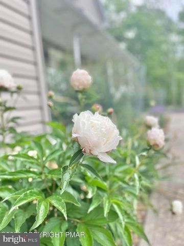 194 TUMBLEWEED DR, Effort, PA 18330