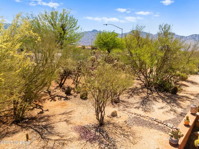14006 N Green Tree Drive, Oro Valley, AZ 85755