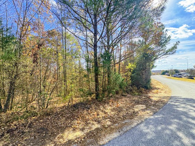 0 Beech Ridge Road, Parsons, TN 38363