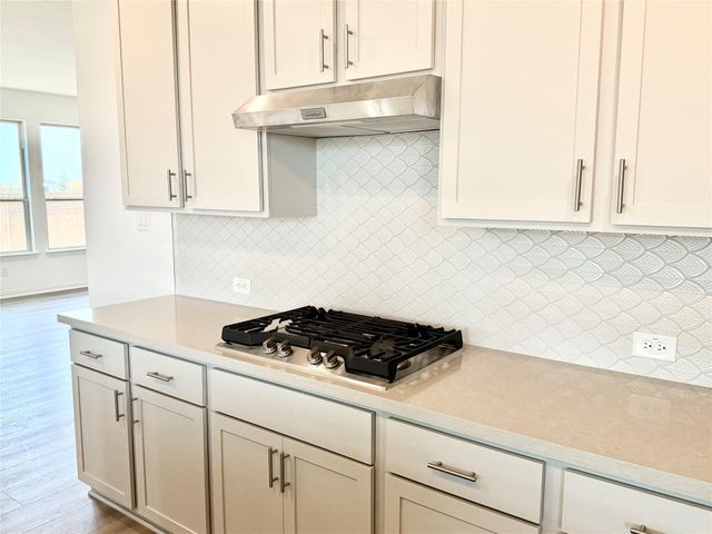 13729 Tucker Hedge PASS, Elgin, TX 78621