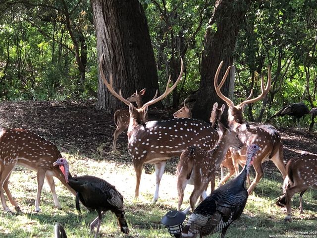 39 Oak, Brackettville, TX 78832