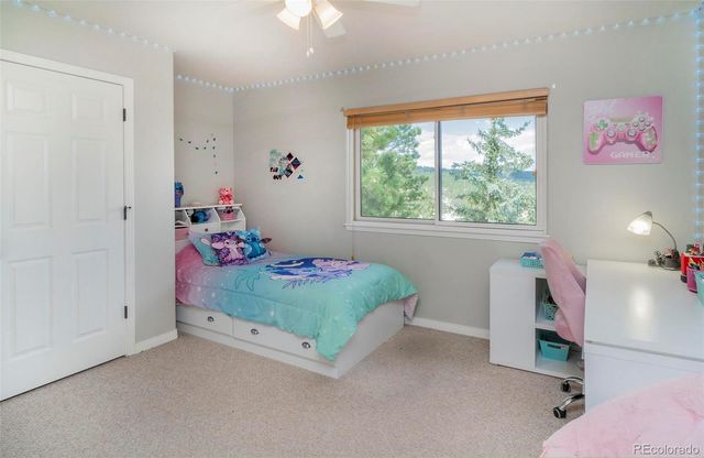 3124 Elk View Drive, Evergreen, CO 80439