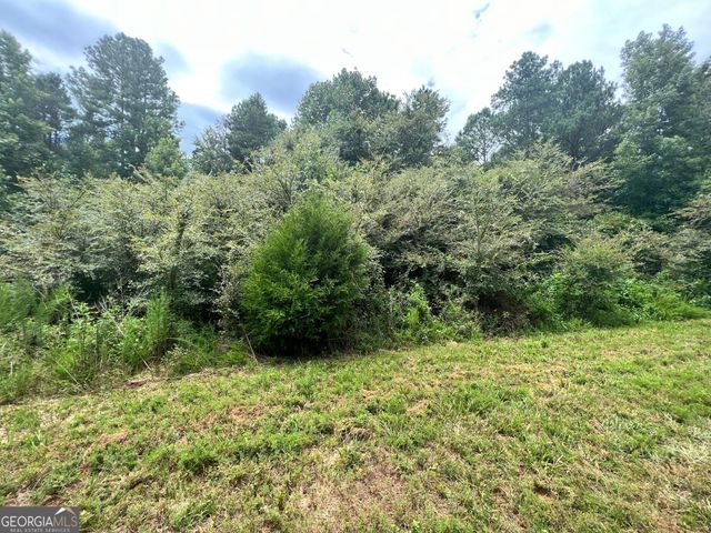 0 Jacks Hat Road, Elberton, GA 30635