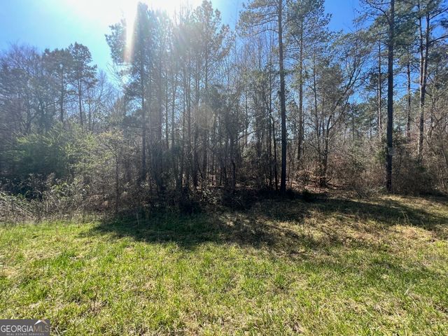0 Jacks Hat Road, Elberton, GA 30635