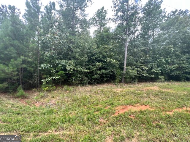0 Jacks Hat Road, Elberton, GA 30635