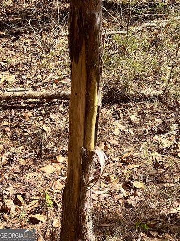 0 Jacks Hat Road, Elberton, GA 30635
