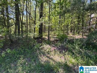 6525 SHADOW ROCK CIRCLE, Mccalla, AL 35111