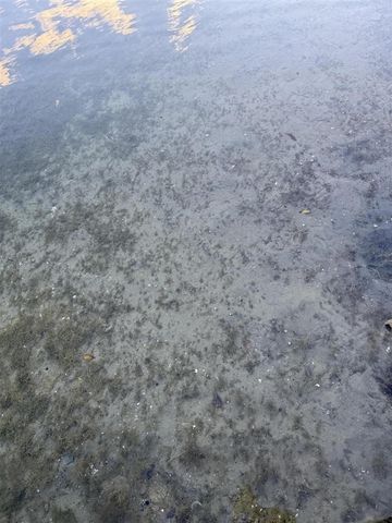 2628 E Shore Drive, Portage, MI 49002